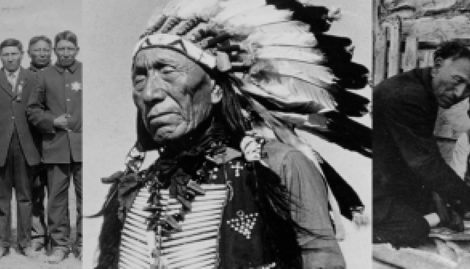 Top Honnor Black - Elk